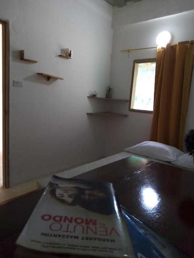 Hostal Paloma Cafe Palomino Kültér fotó
